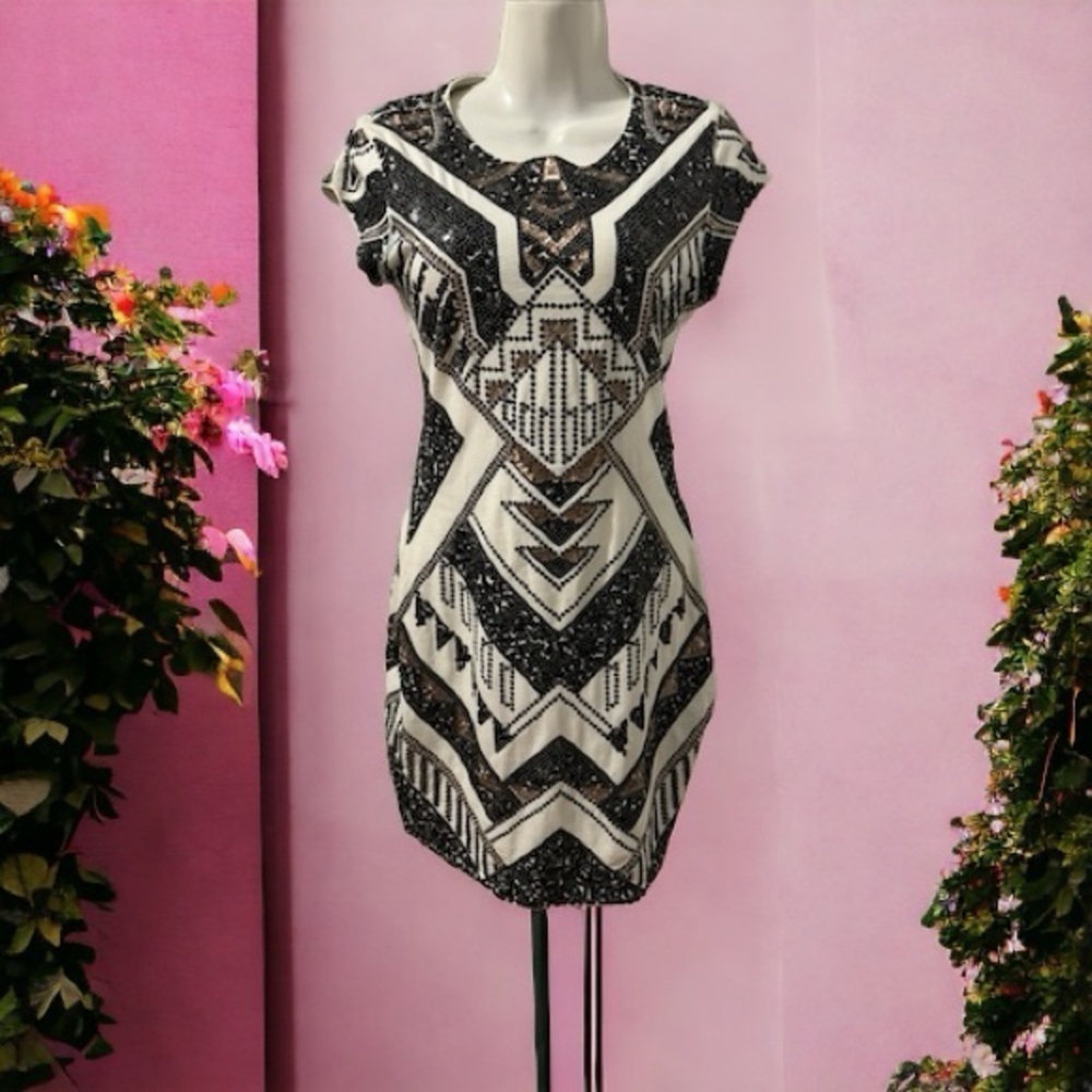 Express mini sequins dress